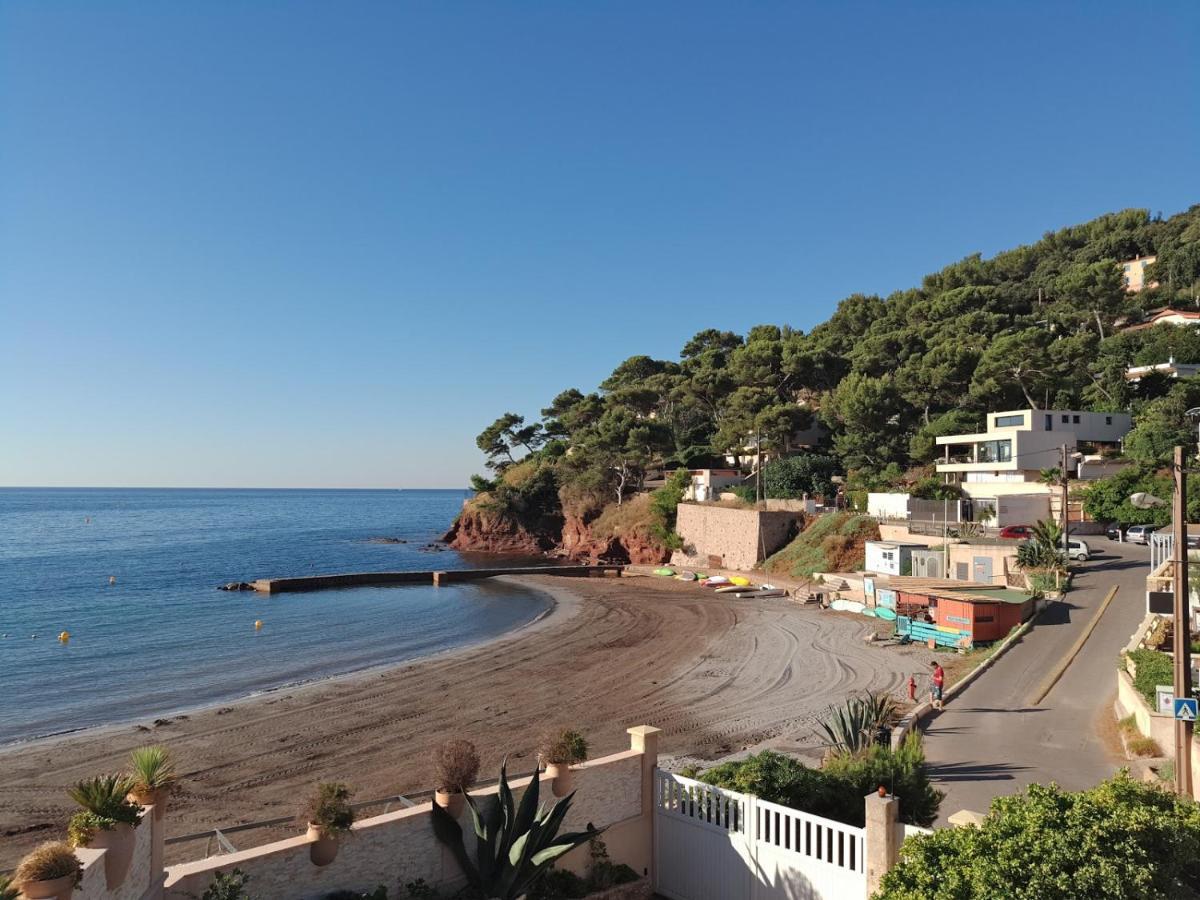 Loft Climatise "La Pinede", 50 M2, Tres Calme, 5 Mn A Pied Des Plages, Lit King Size La Seyne-sur-Mer Exteriér fotografie